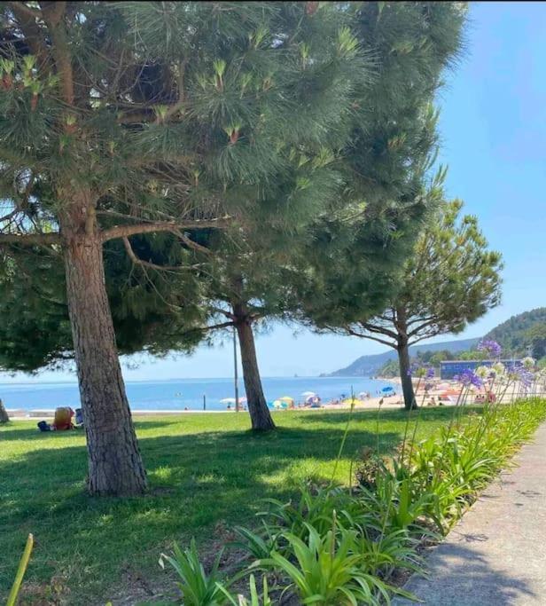 Setubal Rp House Apartamento Perto Do Mar E Comercio Na Luisa Todi Экстерьер фото
